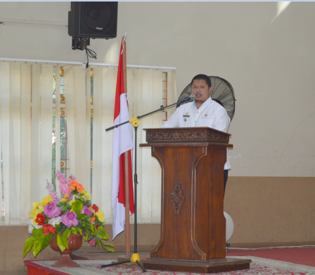 Camat Mandau sampaikan beberapa hal yang menjadi Prioritas di Musrenbang Kecamatan Mandau Tahun 2019